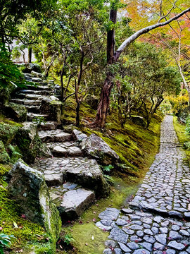 View of the stone stairs and path winding through the lush moss-covered grounds and autumn foliage of Isuien Garden in Nara, Nara, Japan.