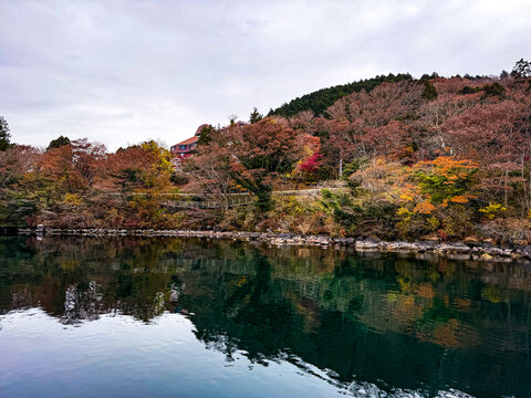 View of Lake Ashinoko surrounded by vibrant autumn foliage and dense forest under a cloudy sky in Hakone, Kanagawa, Japan.
