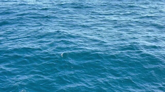 Abstract view of turquoise sea water on the Cote d'Azur, France
