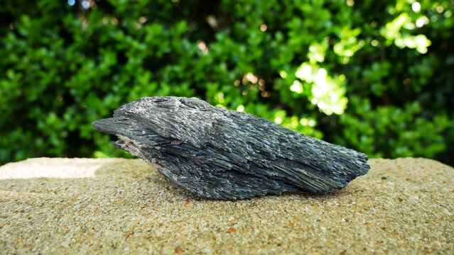 Black Kyanite Crystal Fan on Natural Green Background