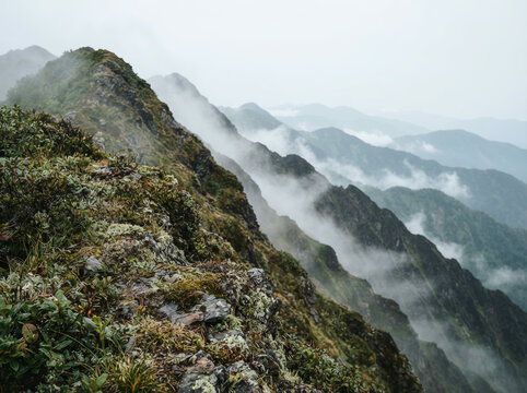 High angle view of a vegetated mountain range with low lying cloud below