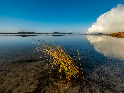 View of Princess Royal Harbour with tall grass in the foreground, calm reflective water, and distant hills under a clear blue sky in Albany, WA, Australia.
