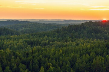 Kouvola, Finland - 15.08.2020: Vast coniferous forest canopy bathed in golden sunset light with rolling hills under an orange twilight sky © Andrei