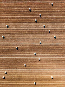 Aerial view of harvested agricultural field with scattered white hay bales across the brown stubble in Baden-Wurttemberg, Germany.