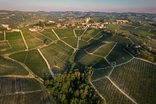 Aerial view of the historic castle and village of Serralunga d'Alba surrounded by lush green vineyards in the rolling hills, Serralunga d'Alba, Piemonte, Italy.
