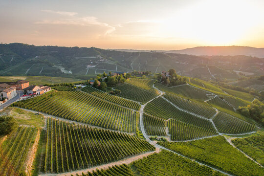 Aerial view of the historic village and surrounding vineyards at sunset, with rolling hills and lush green rows of vines in Serralunga d'Alba, Piemonte, Italy.