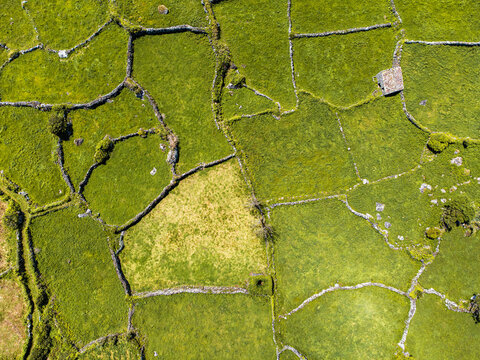 Aerial view of lush green fields divided by traditional stone walls with a small stone structure in the Azores, Portugal.