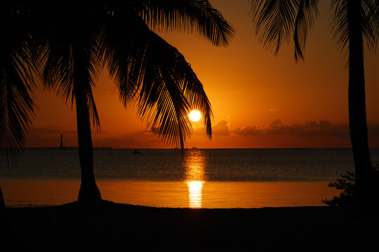 View of a vibrant sunset over the Caribbean Sea framed by silhouetted palm trees on the coast of Grand Cayman, Cayman Islands.