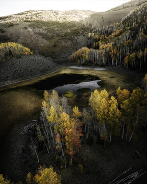Aerial view of a mountain lake surrounded by vibrant autumn aspen trees with golden and orange foliage in the rugged landscape of Utah, United States.