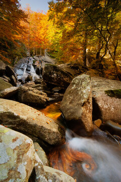 View of Lagoni waterfall surrounded by vibrant autumn foliage and large mossy rocks in a forest stream in Corniglio, Emilia-Romagna, Italy.