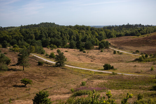 Gravel road through the forest of Mols Bjerge, Denmark