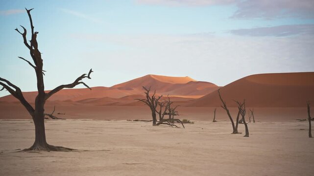 View of Sossusvlei desert landscape with dead trees, Namibia.