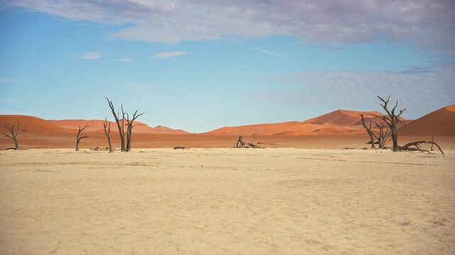 View of Sossusvlei desert landscape with dead trees, Namibia.