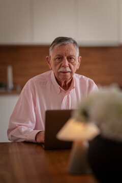 Confident senior man sitting at desk and using laptop in cozy scandinavian style home
