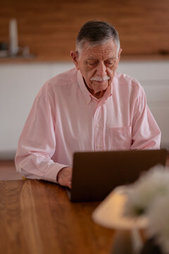 Confident senior man sitting at desk and using laptop in cozy scandinavian style home