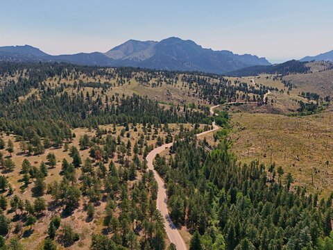 Aerial view of Walker Ranch featuring a winding road through a dense pine forest with mountainous terrain in the background in Boulder, Colorado, United States.