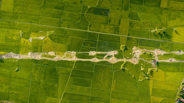 Aerial view of the vibrant green rice paddies and irrigation channels surrounding Lak Lake in Lien Son Lak, Dak Lak, Vietnam.