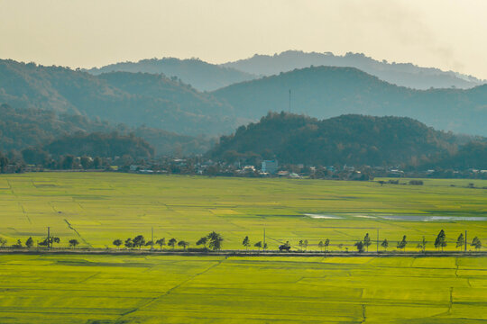 Aerial view of Lak Lake surrounded by vibrant green rice fields, a line of trees along a rural road, and rolling mountains in the distance in Lien Son Lak, Dak Lak, Vietnam.