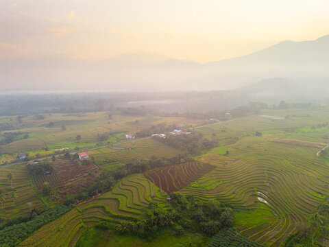 Aerial view of Kemumu rice terraces with lush green fields, misty mountains, and golden hour light in Arma Jaya, Bengkulu, Indonesia.