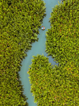 Aerial view of a small round boat navigating a narrow river winding through a dense green palm forest, Vietnam.