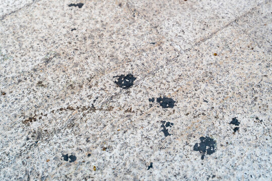 Concrete surface texture with dark asphalt stains and scattered marks on weathered stone pavement, close-up detail of aged urban ground material