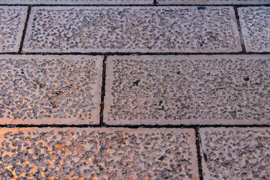 Wet paving stone bricks closeup with rain water droplets on rough textured surface, dark grout joints, outdoor urban pavement background with nobody