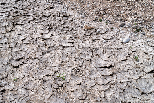 Dried riverbed of the Rhine. Cracked mud and exposed sediments illustrate the impact of heat, drought and climate change on one of Europe's major rivers