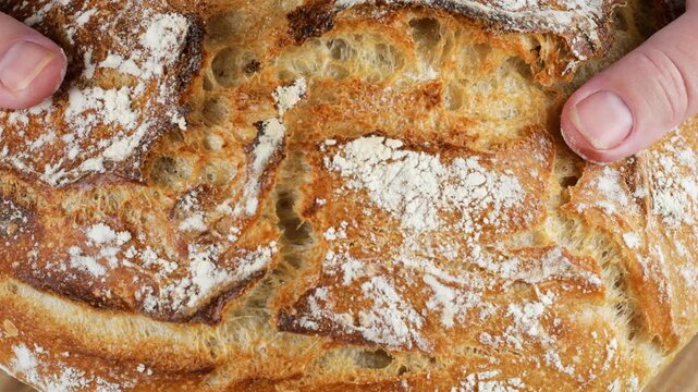 A woman holds a freshly baked homemade wheat sourdough bread in a close-up. The rustic artisan loaf features a golden crunchy crust with natural cracks and flour dusting.