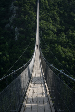 View of a person standing on the Geierlay suspension bridge surrounded by dense green forest in Germany.