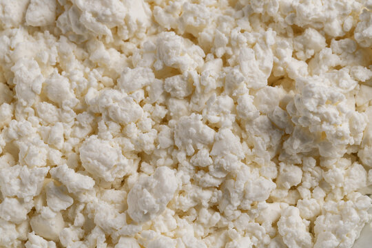 Macro texture of fresh white cottage cheese background