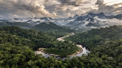 Fotobehang Bos rivier Winding river flows through lush tropical rainforest under dramatic stormy mountains at sunset golden hour with aerial perspective serpentine  © Waqasahmed