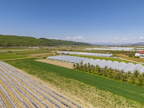 Aerial view of agricultural fields and greenhouses with rows of crops under plastic tunnels, set against rolling green hills in Selite, Qarku i Elbasanit, Albania.