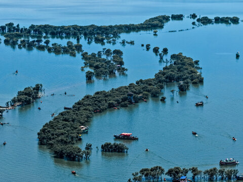 Tahirpur, Bangladesh - 03 July 2026: Aerial view of Jadukata River with lush green trees partially submerged in the water and small boats navigating the river.