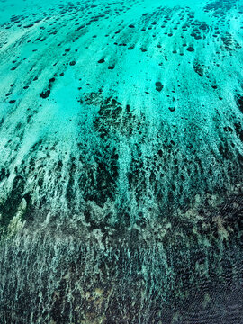 Aerial view of a vibrant coral reef beneath clear turquoise waters in the Indian Ocean off the coast of Mauritius.
