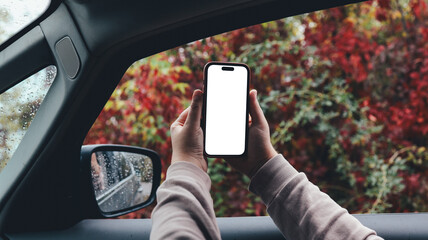 Fototapeta premium Person holding a smartphone with a blank screen inside a car during autumn