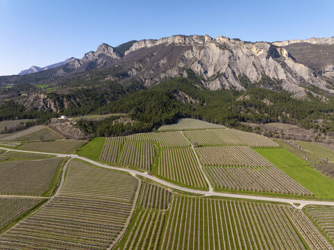 Aerial view of agricultural orchards and rows of trees nestled against the dramatic mountain range in Monetier-Allemont, Provence-Alpes-Cote d'Azur, France.