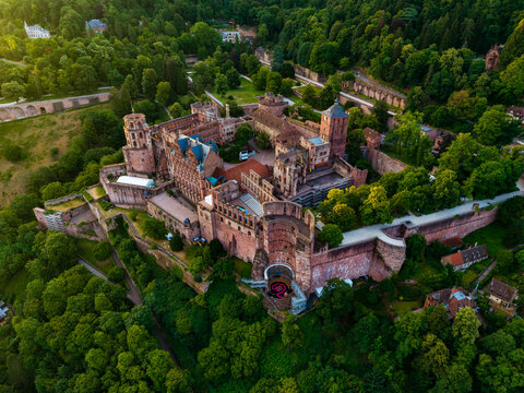 Aerial view of the historic Heidelberg Castle with its red sandstone walls and towers surrounded by lush green forests in Heidelberg, Baden-Wurttemberg, Germany.