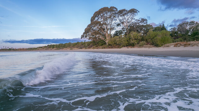 Aerial view of Patons Rock beach with gentle waves rolling onto the sandy shore, framed by lush coastal trees under a clear blue sky in Patons Rock, Tasman Region, New Zealand.