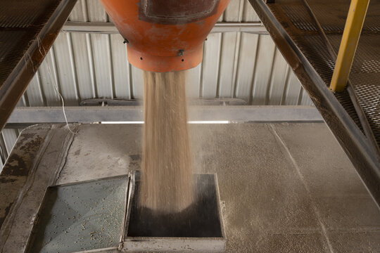 View of grain being poured from an orange industrial hopper into a metal container in a processing facility in Nairobi, Nairobi County, Kenya.