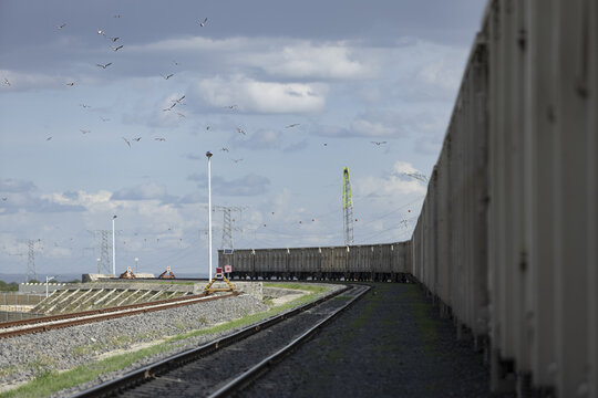 View of a long freight train moving along the tracks with birds flying in the sky above the railway infrastructure in Nairobi, Nairobi County, Kenya.
