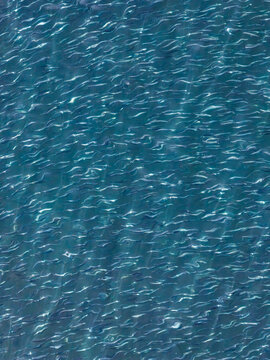 Aerial view of the rippling blue water surface with gentle waves in Unalaska, Alaska, United States.