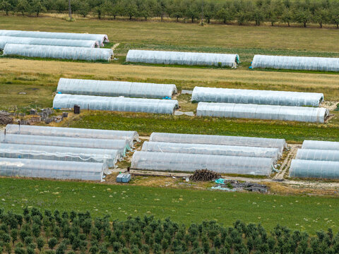 Aerial view of multiple plastic-covered greenhouses arranged in rows within a rural agricultural field in Poland.