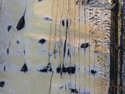 Aerial view of salt workers raking and collecting salt in the crystalline salt pans of Laem Phak Bia, Thailand.