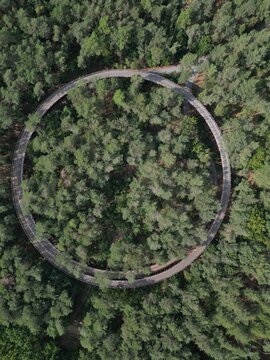 Aerial view of the circular cycling path known as Cycling through the Trees, surrounded by dense pine forest in Bosland, Belgium.