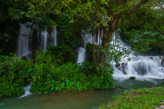 View of the lush Ban Gioc Waterfalls surrounded by dense tropical foliage and ferns in Dam Thuy, Cao Bang, Vietnam.