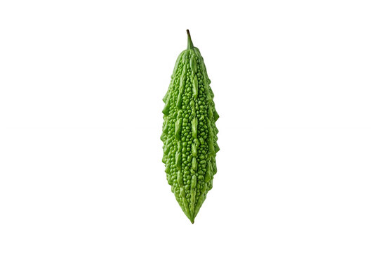 Fresh green bitter melon vegetable isolated on a plain background
