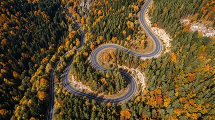Obraz premium Winding road through autumn forest. Aerial view of a serpentine highway in fall woods.