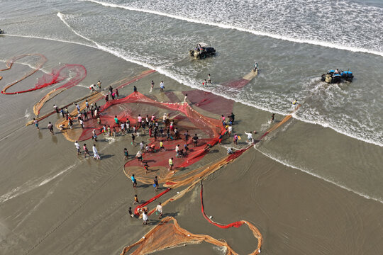 Cox's Bazar, Bangladesh - 10 April 2026: Aerial view of Cox's Bazar Sea Beach with local fishermen pulling large red fishing nets from the sea using tractors on the sandy shore.