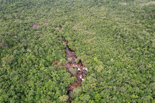 Aerial view of Suoi Da Ban stream flowing through the dense tropical forest canopy in Phu Quoc, Kien Giang, Vietnam.