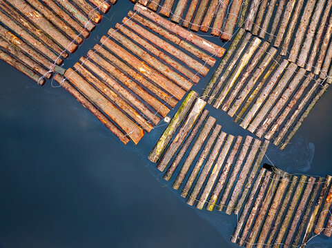 Aerial view of floating timber logs arranged in rafts on the dark water surface in Zaandam, Noord-Holland, Netherlands.